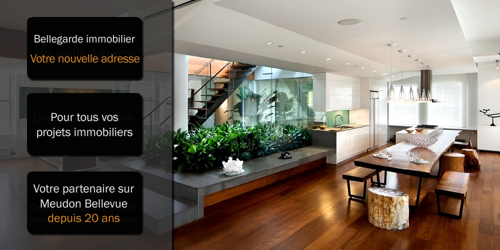 agence immobiliere meudon
